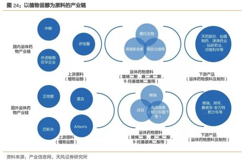 溢多利 專注研發創新的生物技術隱形冠軍，替抗業務迎來高增長